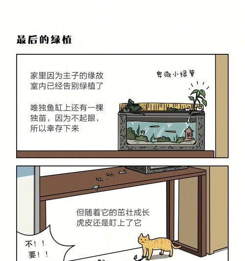 奖猫咪不只是过得好，它们还能玩游戏！（以一个案子解决了的奖猫咪的生活和游戏乐趣）