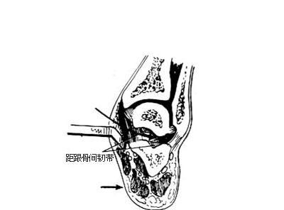 以咩咩启示录为例，详解骨骰游戏规则（学习游戏规则）