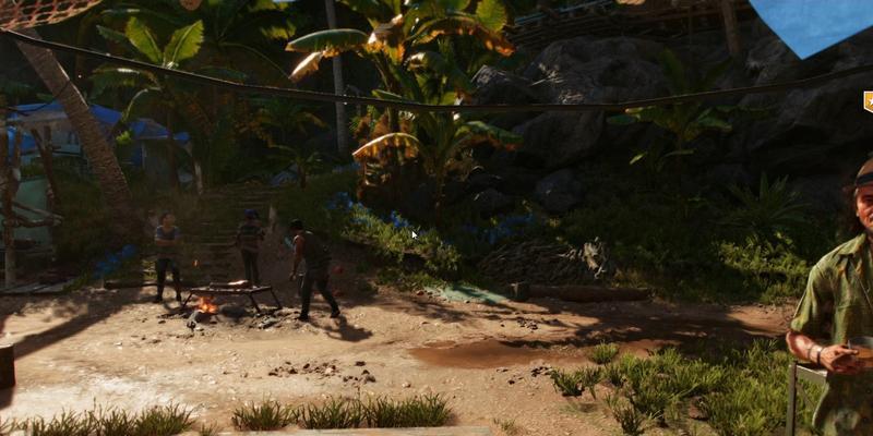 《孤岛惊魂FarCry2》游戏攻略（独自一人在荒野中求生）
