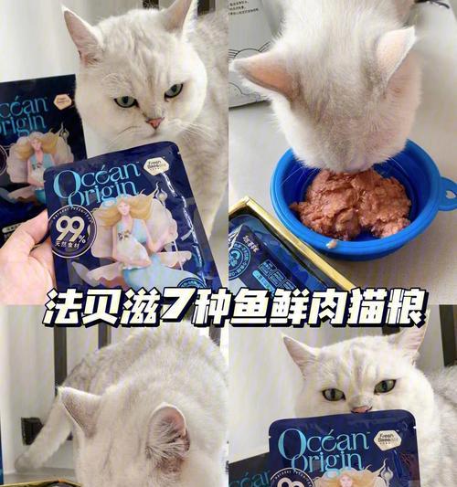 《探索猫之城，感受灵棰惊竹游戏的魅力》（猫之城灵棰惊竹解析——畅游于灵动的世界中）