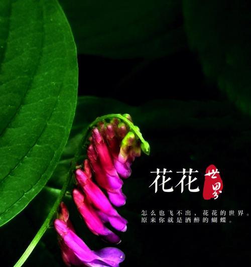 《奇迹暖暖》游戏评选赛“生如夏花之绚烂”搭配攻略（以华丽绚烂的搭配角逐评选赛的冠军奖杯）